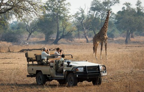 Zambia Luxury Safaris