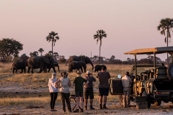 Zimbabwe safaris