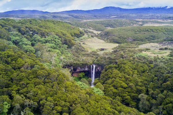 Aberdares National Park