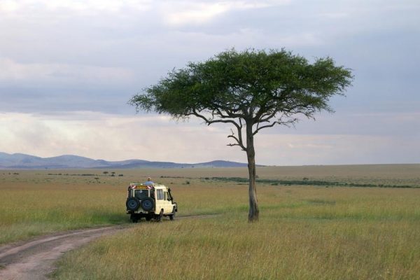 Adventures Kenya Masai Mara Safari
