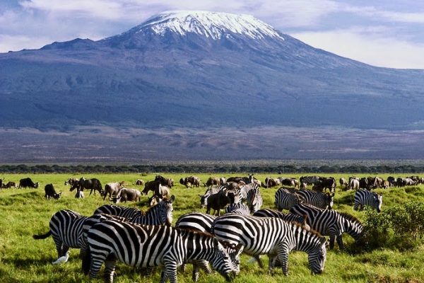 Best of Amboseli National Park