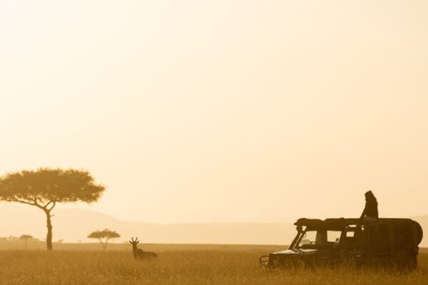 Big Game in Masai Mara