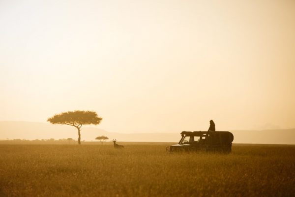 Game drive Maasai Mara