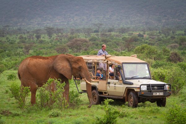 Game drive with Elephant Bedroom Camp -Samburu