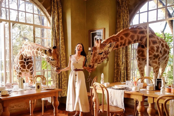 Kabira Safaris - Giraffe-Manor-Dining-Room