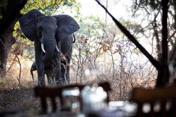 Katavi National Park