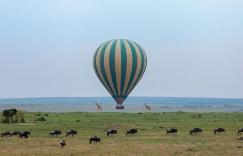 Kenya Masai Mara hot air balloon