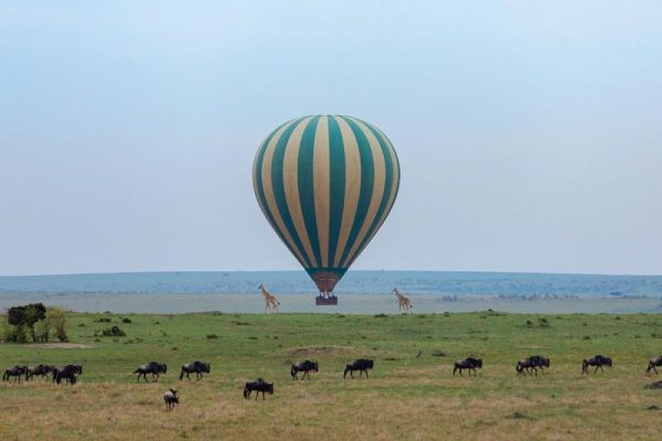 Kenya Masai Mara hot air balloon