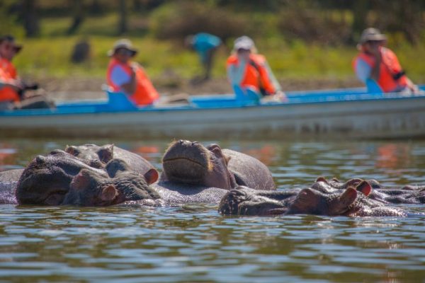 Lake Naivasha