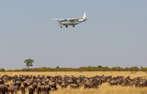 Masai Mara Absolute Luxury Flying Safari