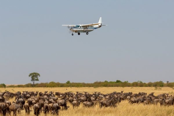 Masai Mara Absolute Luxury Flying Safari