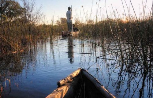 Botswana Okavango delta canoe river