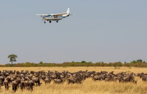 Flying Safaris in Africa