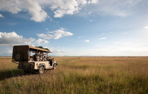 Grumeti game reserve game drives