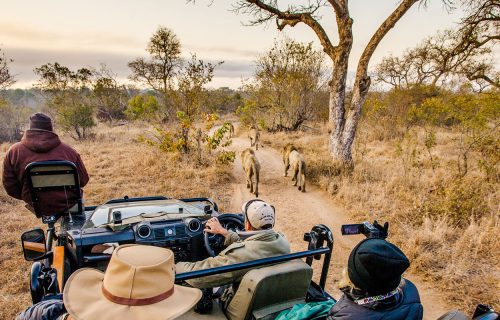 Private African Safaris