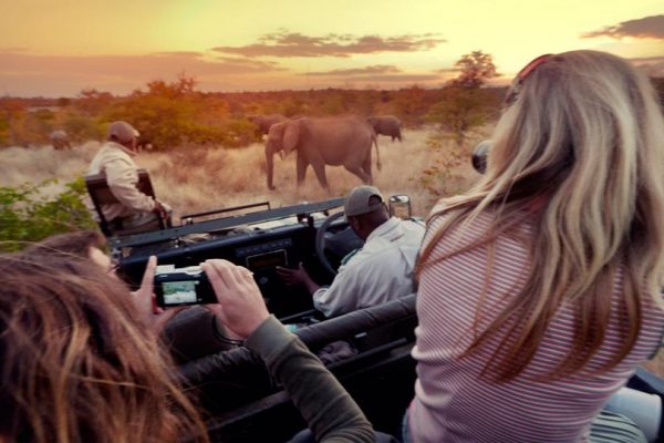 Tanzania Safari Photographic Adventure