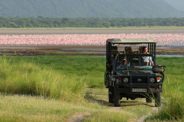the Lake Manyara National Park known for flamingos