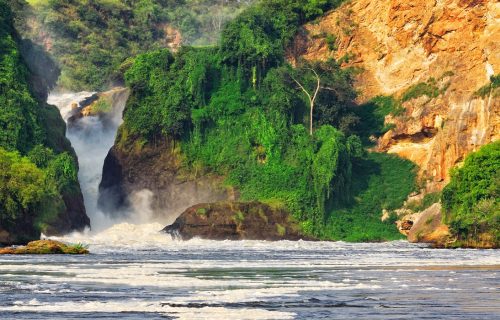 Uganda Safari Tour to Murchison Falls