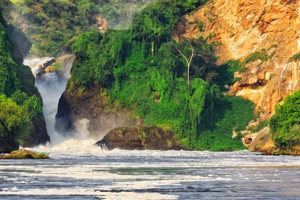 Uganda Safari Tour to Murchison Falls