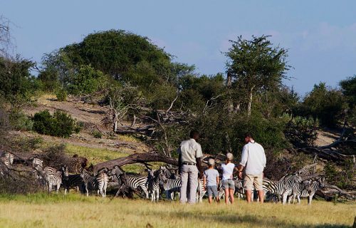 Family Safaris in Botswana