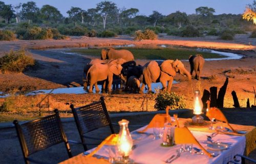 Botswana Honeymoon Safaris