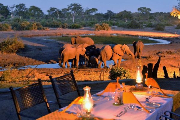 Botswana Honeymoon Safaris