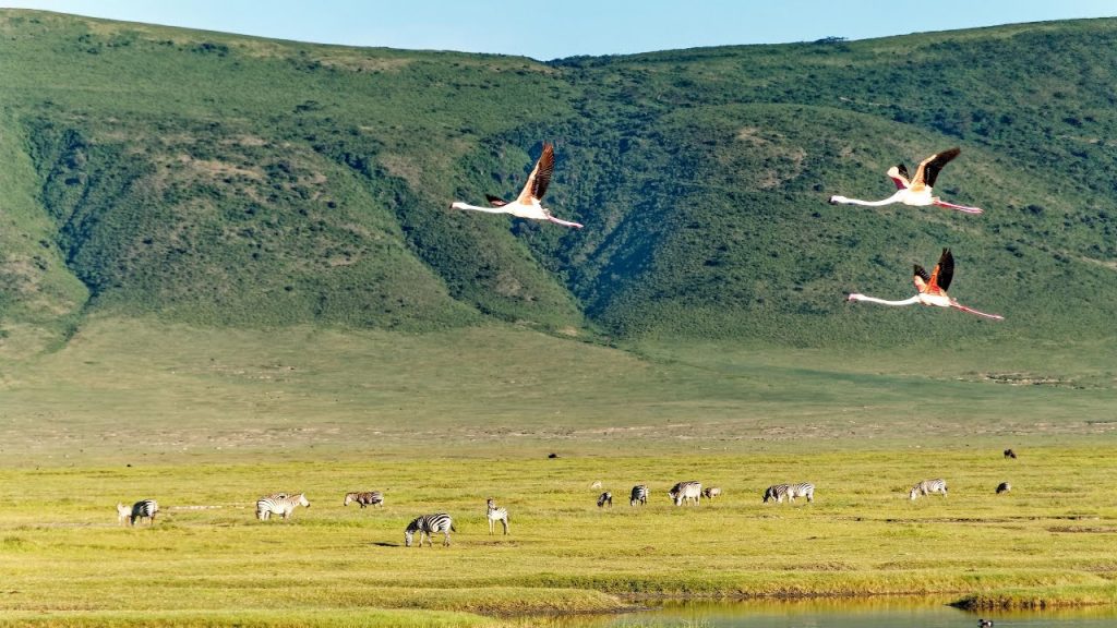 The Ngorongoro Crater