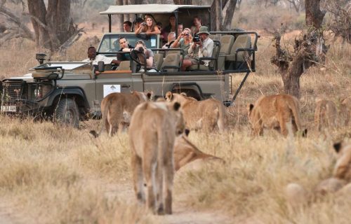 Family Safaris in Botswana