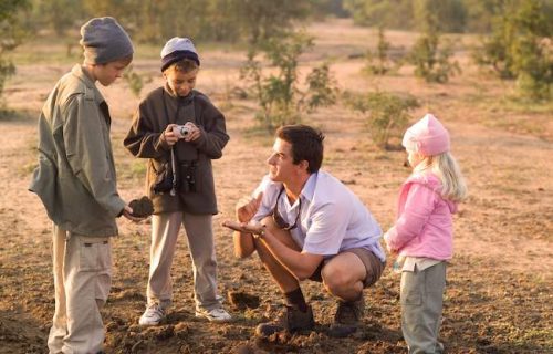 family safaris in south Africa