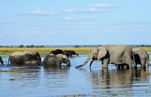 Botswana National Parks