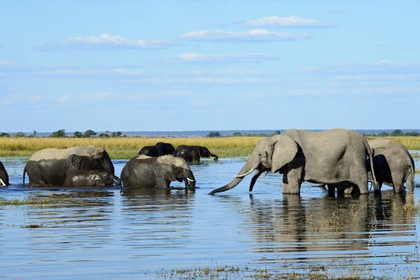 Botswana National Parks