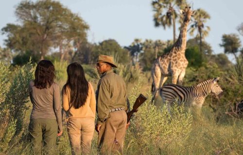 Walking Safaris in Botswana