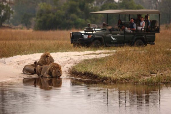 Botswana and Zimbabwe Safari