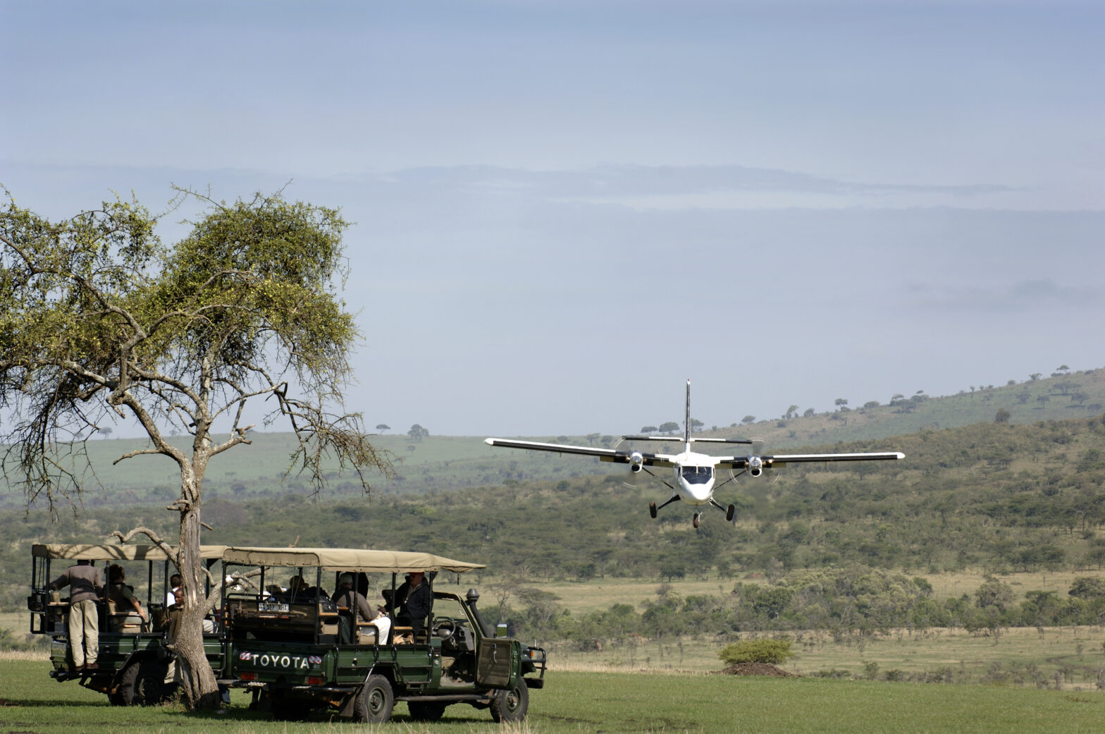 safari flying adventures