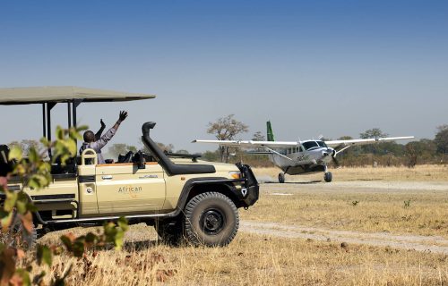 Botswana Fly-in Safari