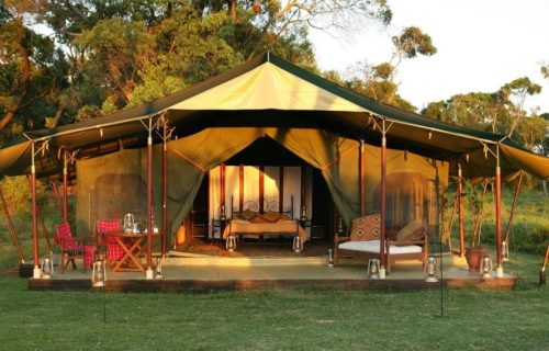 Fig Tree Camp Mara