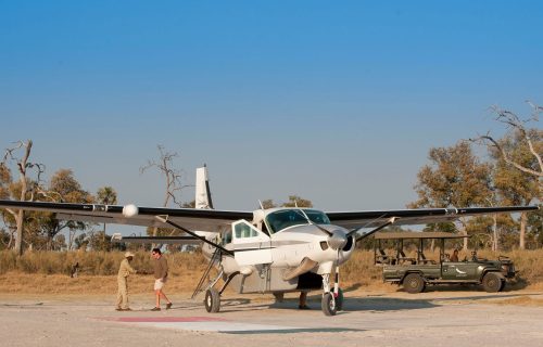 Fly-in Safari in Botswana