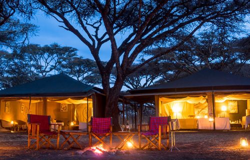 Mobile Camping Safaris in Kenya