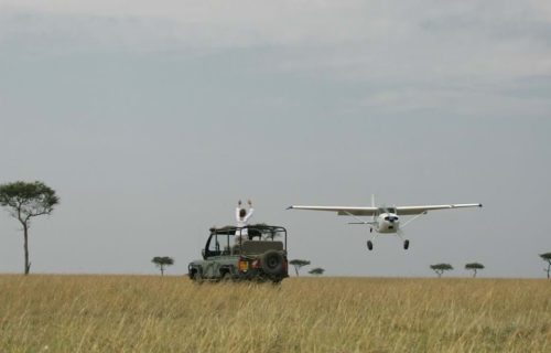 Tanzania Fly-in Safaris