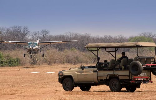 Tanzania Flying Safari