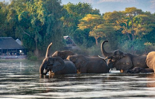 Zambia's premier luxury safari camp