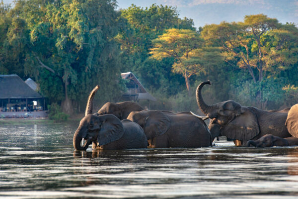 Zambia's premier luxury safari camp