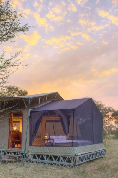 Asilia lodges and camps