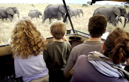 Tanzania family safari holiday