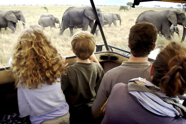 Tanzania family safari holiday