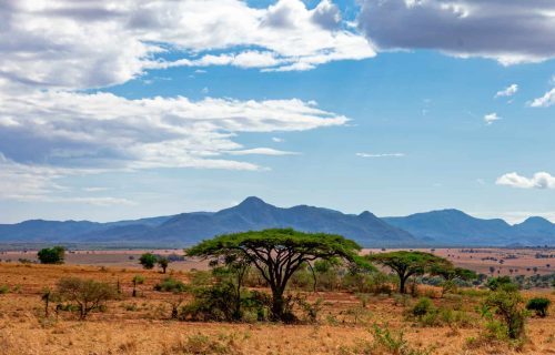 Landscape views of Kidepo Valley National Park