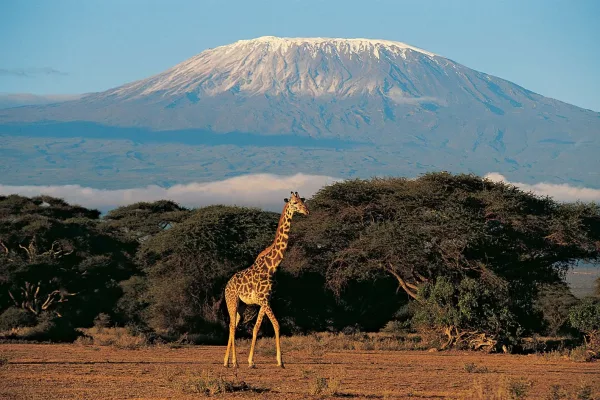 Mount Kilimanjaro Facts