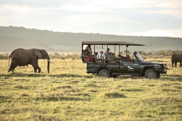 4 Days Kenya Family Safari