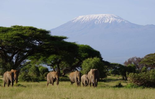 Amboseli Lodge Safari