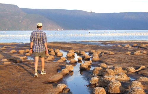 Lake Bogoria National Reserve.